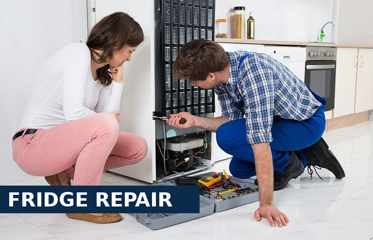 Fridge Repair Lee